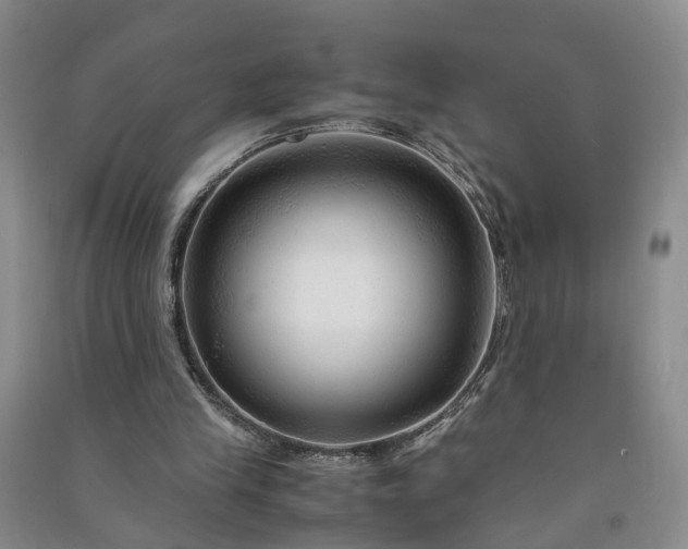 X0000090960245200708161821