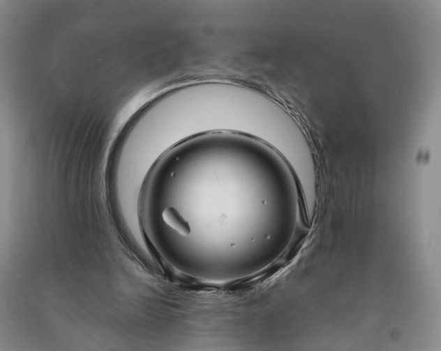 X0000090960246200708161821
