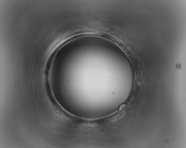 X0000090960247200708161821