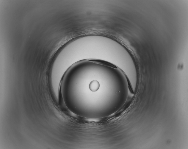 X0000090960250200708161821
