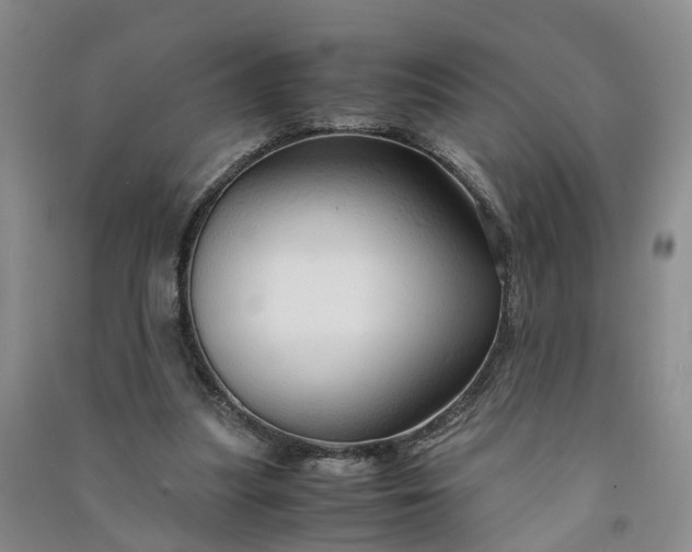 X0000090960251200708161821