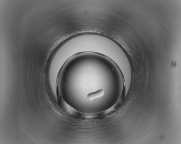 X0000090960252200708161821