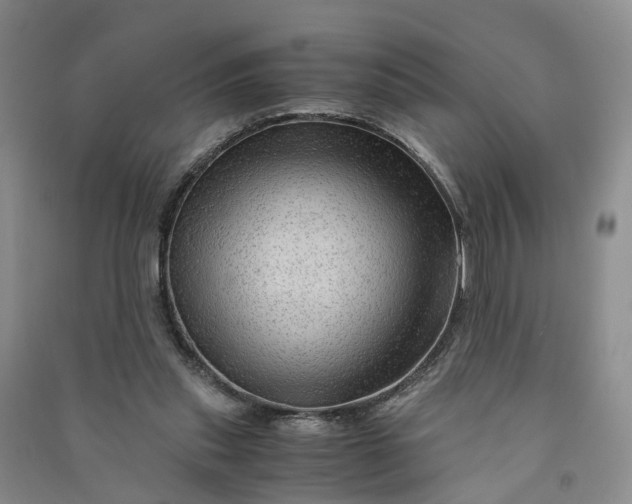 X0000090960253200708161821