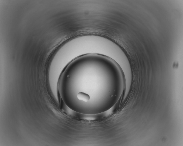 X0000090960254200708161821
