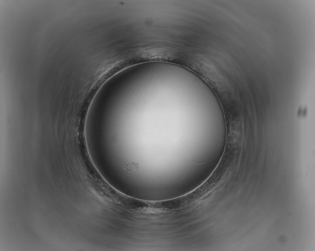 X0000090960255200708161821