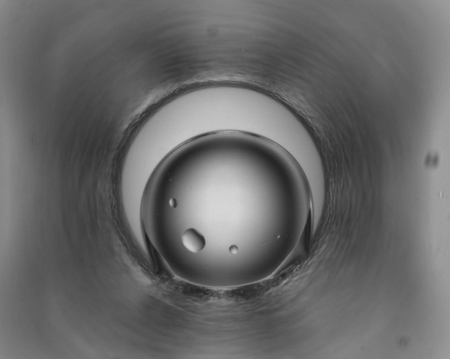 X0000090960256200708161821