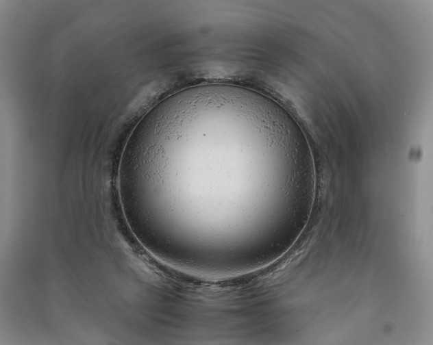 X0000090960257200708161821