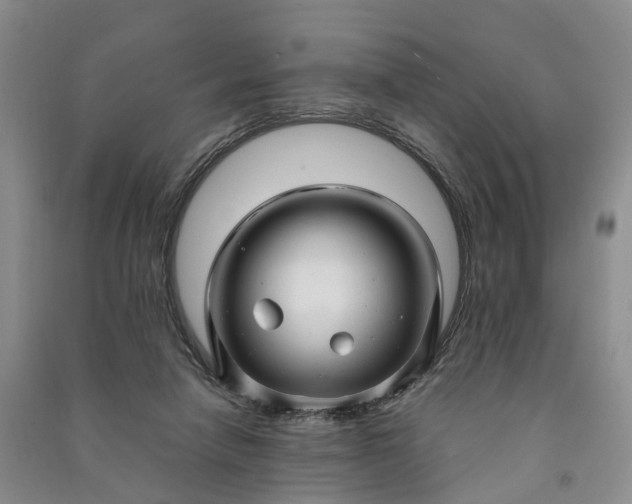 X0000090960258200708161821