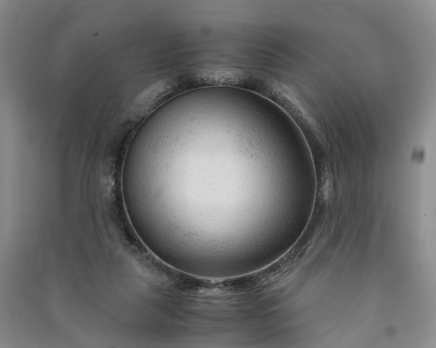 X0000090960259200708161821