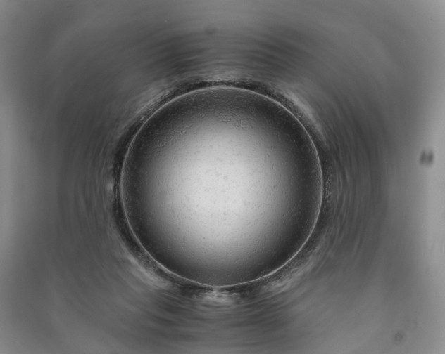 X0000090960261200708161821