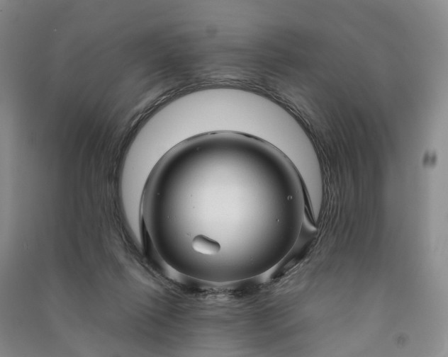 X0000090960262200708161821
