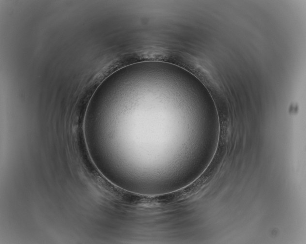 X0000090960263200708161821