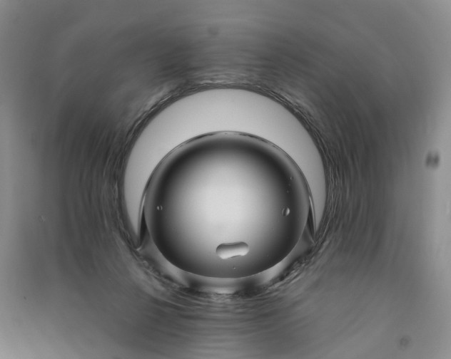 X0000090960264200708161821
