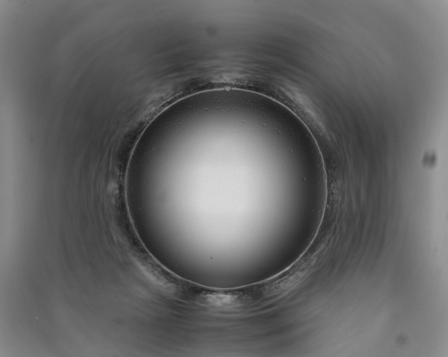 X0000090960265200708161821