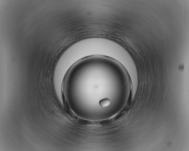 X0000090960266200708161821