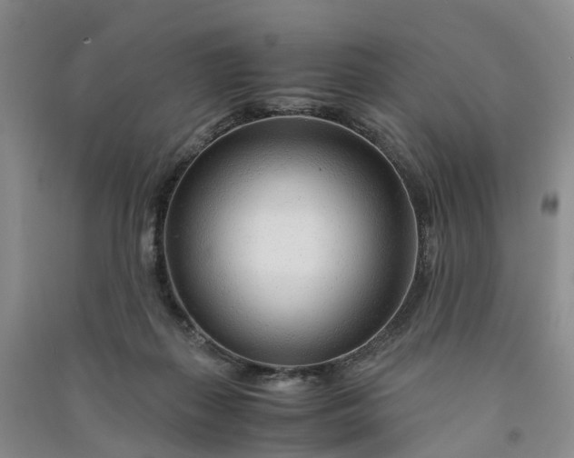X0000090960267200708161821