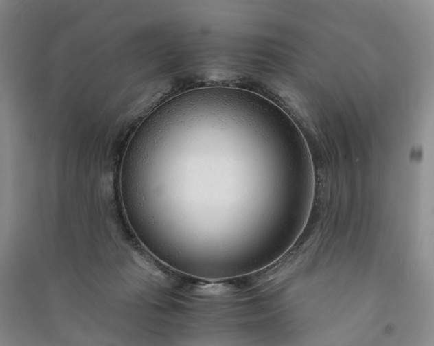 X0000090960269200708161821
