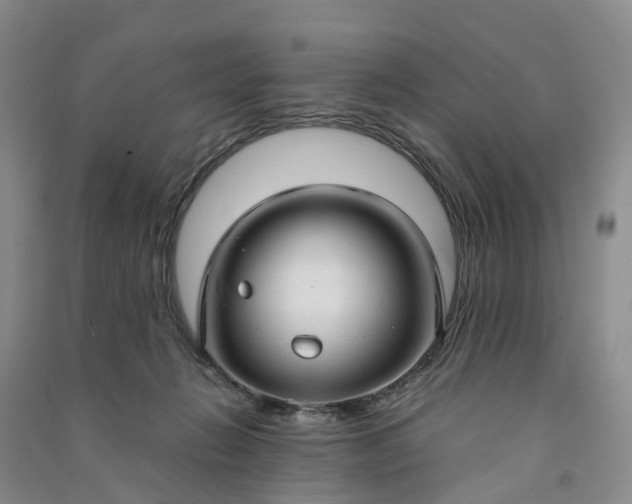 X0000090960270200708161821