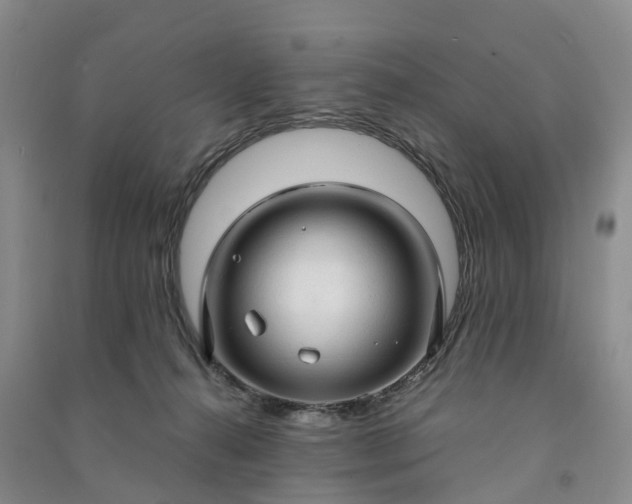 X0000090960272200708161821