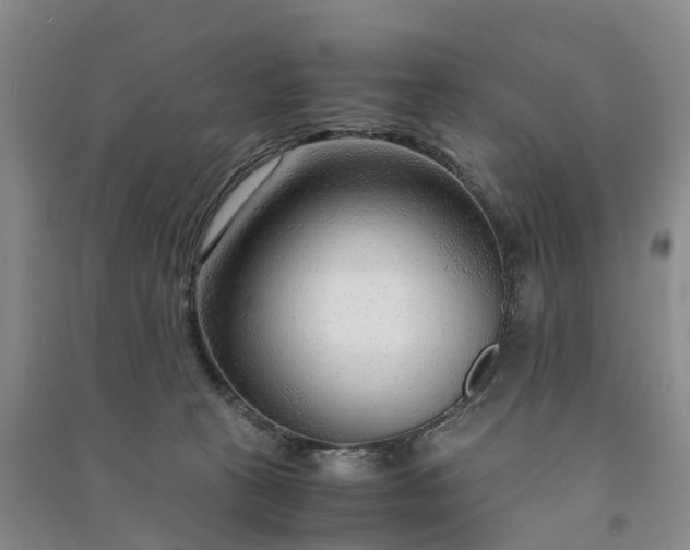 X0000090960273200708161821