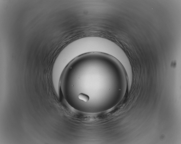 X0000090960274200708161821