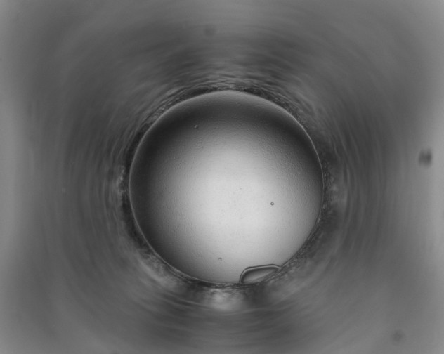 X0000090960275200708161821
