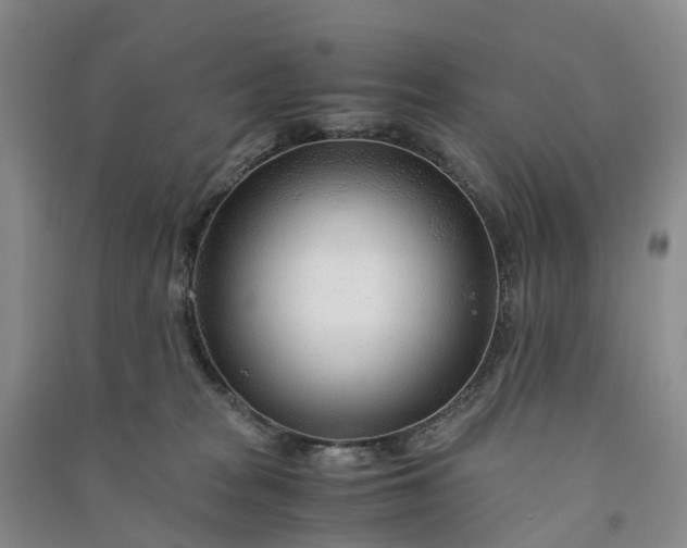 X0000090960277200708161821