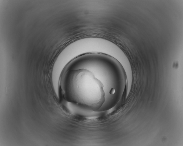 X0000090960278200708161821