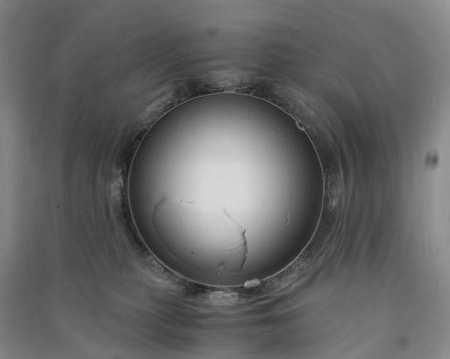 X0000090960279200708161821
