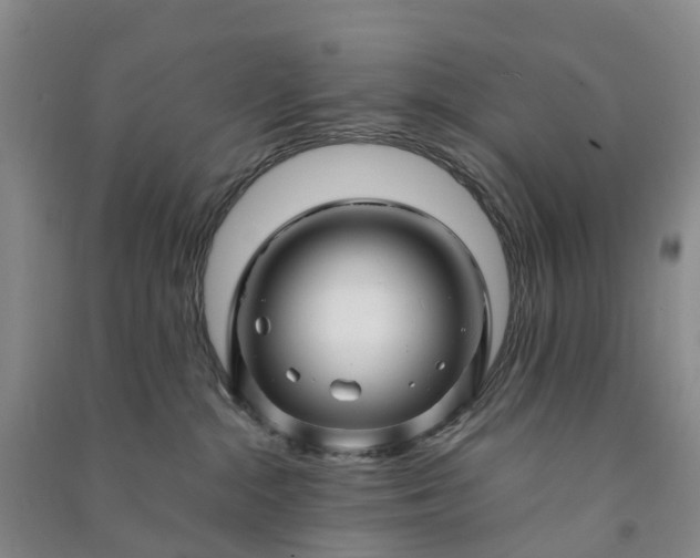 X0000090960284200708161822