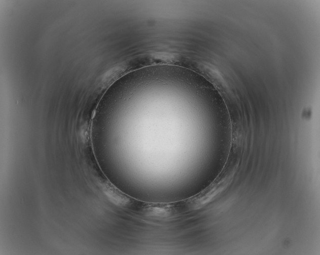 X0000090960285200708161822