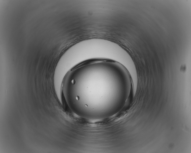 X0000090960286200708161822