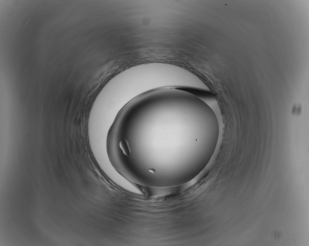 X0000090960288200708161822