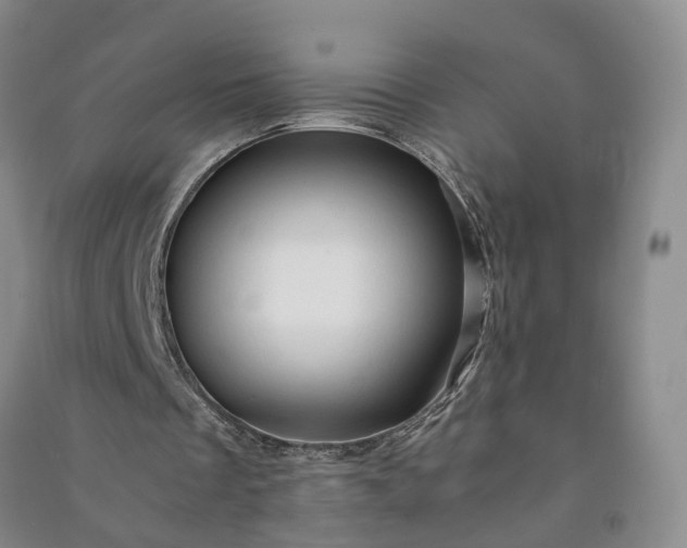 X0000090960289200708161821