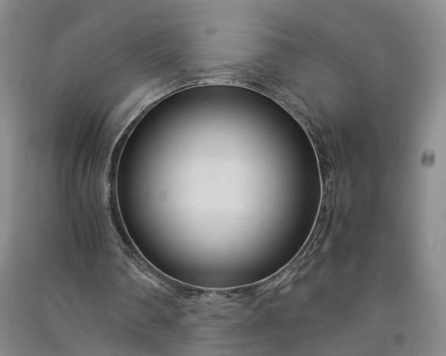 X0000090960290200708161821