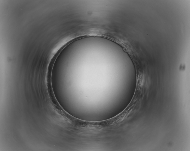X0000090960292200708161821
