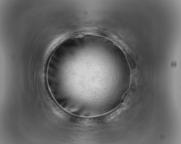 X0000090960293200708161821