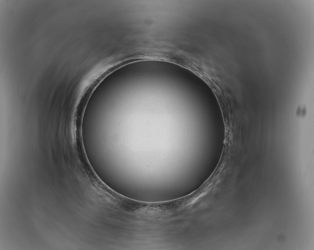 X0000090960294200708161821