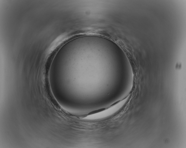 X0000090960295200708161821