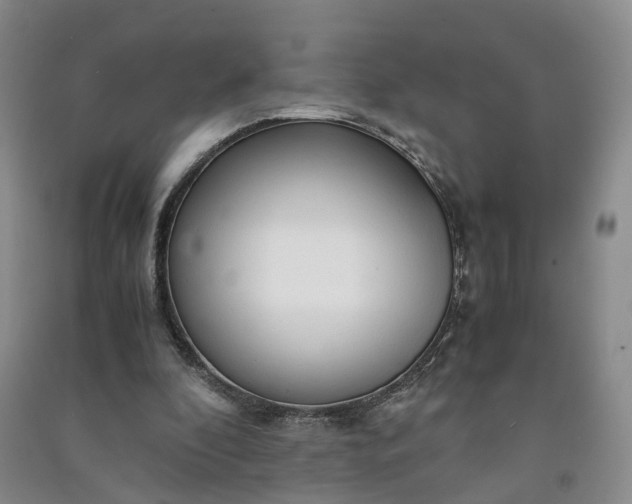 X0000090960296200708161821