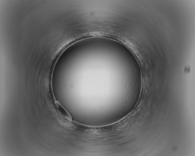 X0000090960297200708161821