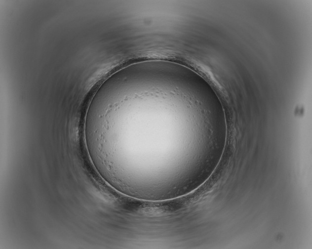 X0000090960299200708161821