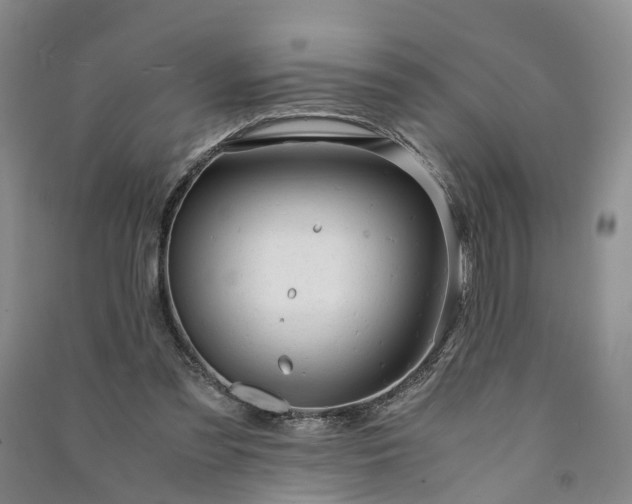 X0000090960301200708161821