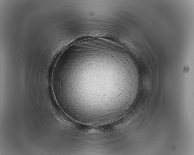 X0000090960303200708161821