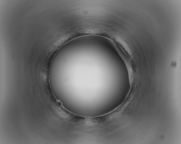 X0000090960305200708161821