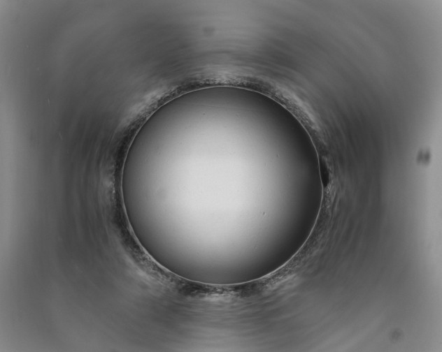 X0000090960306200708161821