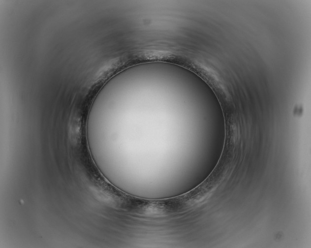 X0000090960308200708161821