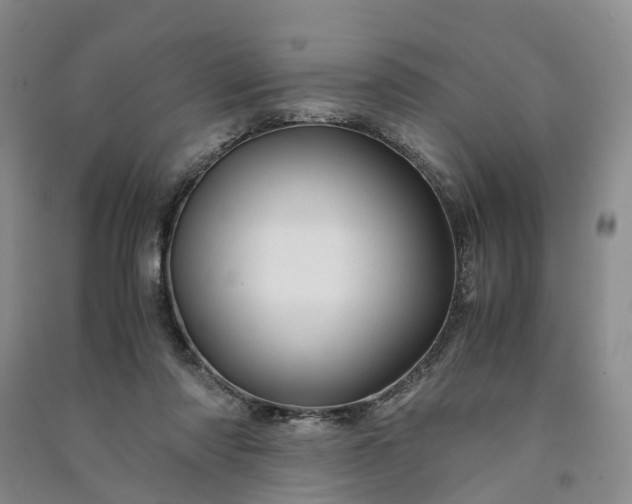 X0000090960310200708161821