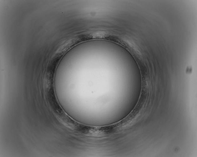 X0000090960311200708161821