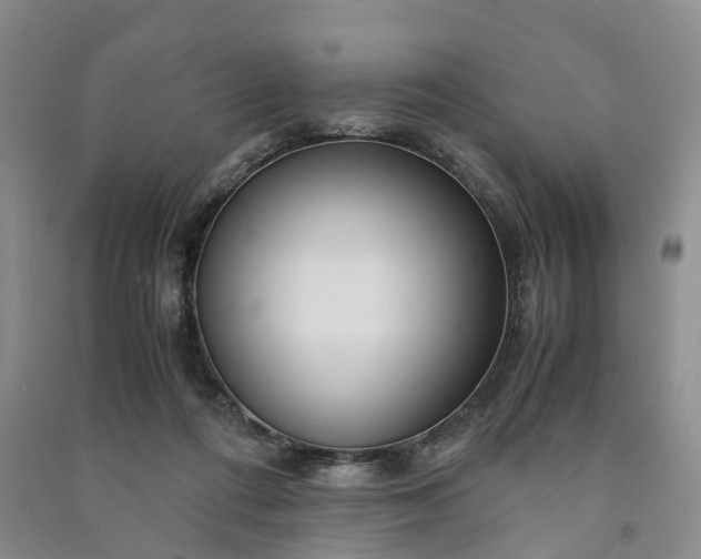 X0000090960312200708161821